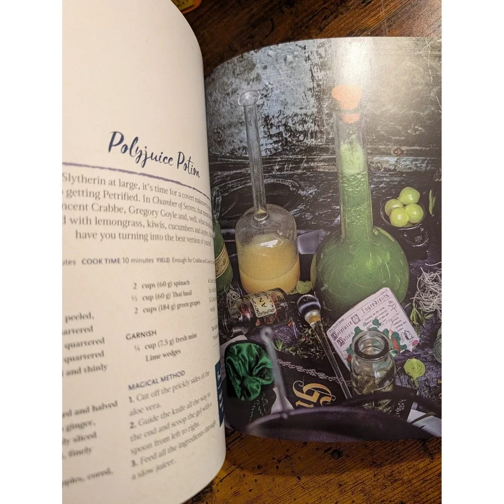 Unofficial Harry Potter Vegan Cookbook NEW Hardcover Plant Based Recipes gift